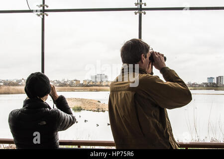 Keen eyed Twitchers (oiseaux) Banque D'Images