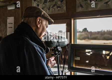 Keen eyed Twitchers (oiseaux) Banque D'Images