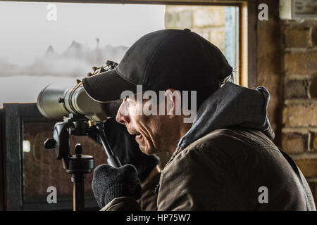 Keen eyed Twitchers (oiseaux) Banque D'Images