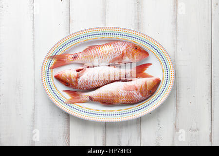 Rouget frais poisson sur plaque sur fond de bois blanc Banque D'Images