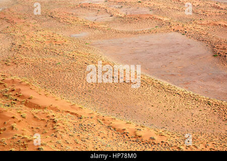 Les cercles de fées, Sesriem, Sossusvlei, Namib-Naukluft National Park, Namibie, Afrique Banque D'Images