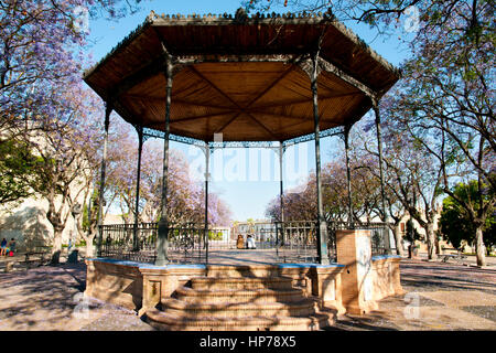 Alameda Vieja - Jerez de la Frontera - Espagne Banque D'Images