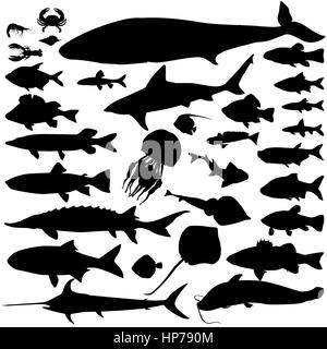 Rivière, la mer poisson nourriture ensemble silhouette. les poissons marins et de mammifères. Fruits de mer sous-marine de l'océan. icon collection faunique Illustration de Vecteur