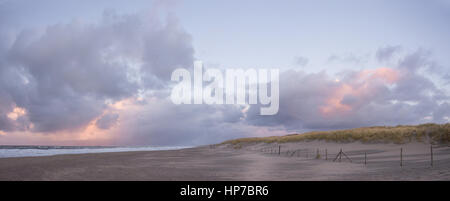 Image du panorama de dunes avec de l'herbe, une plage de sable fin et la mer du Nord sur la côte néerlandaise de la Haye près de Scheveningen, aux Pays-Bas. Banque D'Images
