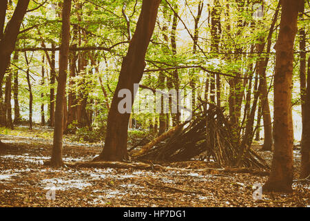 Camp de construction hors de branches dans les bois Banque D'Images