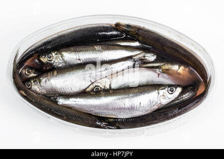 Anchois salés en pot en plastique. Studio Photo Banque D'Images