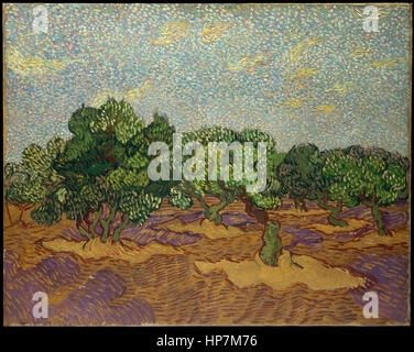Les oliviers, la peinture de Vincent van Gogh Banque D'Images