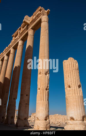 Palmyra, Syrie - 10 octobre 2010 : les ruines de la ville antique Palmyre avant la guerre. Banque D'Images