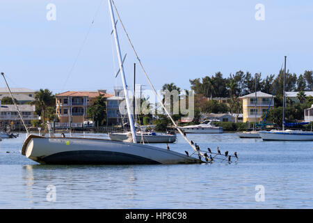 Voilier abandonné en Floride voie navigable. Demi coulé yacht à voile a été abandonné dans le chenal sur la côte du golfe de Floride. Les Banque D'Images