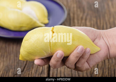 Jaune gros plan venu Mon Thong durian dans la main Banque D'Images