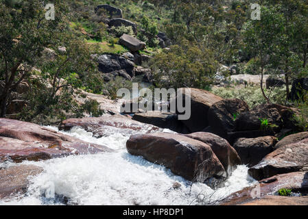 Le débit des chutes du parc national d'exécution dans John Forrest National Park, Australie occidentale Banque D'Images
