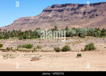 Scène de la vallée de la rivière Draa, Maroc. Banque D'Images