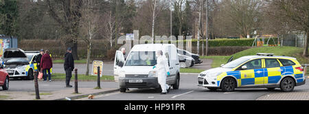 Brentwood, Essex, 20 février 2017 la police et les enquêtes judiciaires se poursuivent au centre Brentwood suite à de prétendues "gangland" le tir. Crédit : Ian Davidson/Alamy Live News Banque D'Images