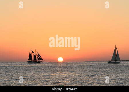 Voiliers en face d'un merveilleux coucher de soleil de Key West. Prises de Malory Square Banque D'Images