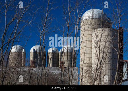 Armada, Michigan - Silos sur une ancienne ferme. Banque D'Images