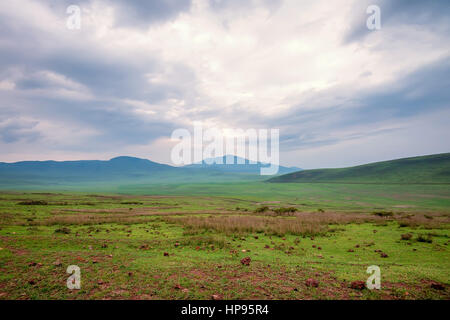 Paysage en Tanzanie, la dépression près de Ngorongoro Banque D'Images