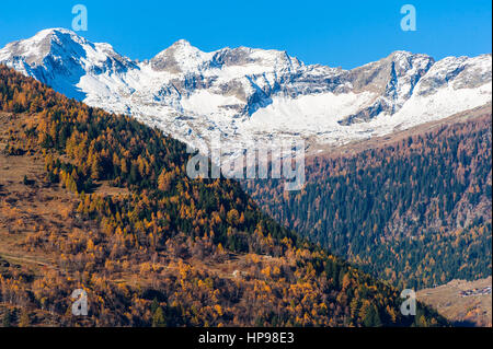 Snowy Mountain peaks et couleurs de pointe sur la végétation ci-dessous Banque D'Images
