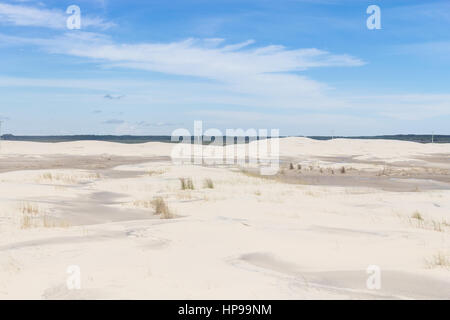 La végétation sur les dunes de Lagoa do Peixe lake, ville Mostardas, Rio Grande do Sul, Brésil. Banque D'Images