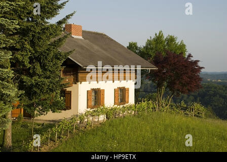 Wohnhaus im Gruenen in der Abendsonne - maison en vert Banque D'Images