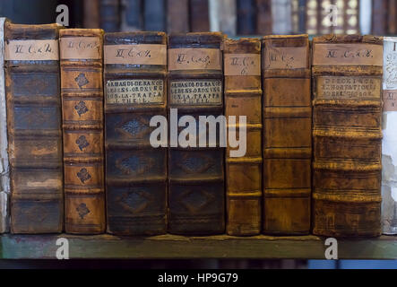 Vieux livres historiques de l'ancienne bibliothèque, étagère en bois Banque D'Images