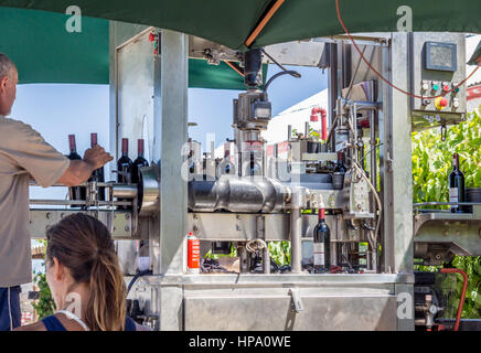 Vin d'Afrique du Sud, près de Robertson : une ligne d'embouteillage automatique. Machine mobile pour le remplissage de produits alimentaires liquides dans des bouteilles en verre Banque D'Images