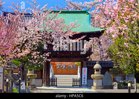 Fusaiji ville Tachikawa Temple Tokyo Japon Banque D'Images