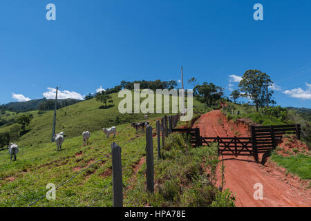 Serra da Mantiqeuira, landcape montagneux entre Monte Verde et de Camanducaia, Minas Gerais, Brésil, Amérique du Sud Banque D'Images