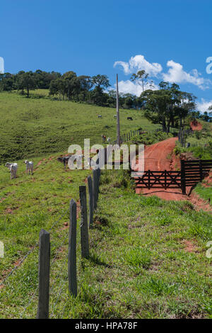 Serra da Mantiqeuira, landcape montagneux entre Monte Verde et de Camanducaia, Minas Gerais, Brésil, Amérique du Sud Banque D'Images