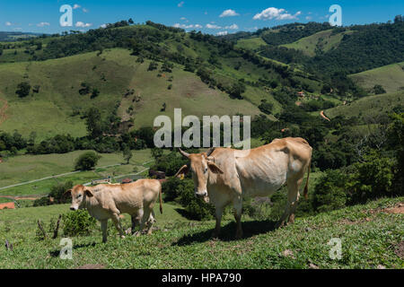 Serra da Mantiqeuira, landcape montagneux entre Monte Verde et de Camanducaia, Minas Gerais, Brésil, Amérique du Sud Banque D'Images