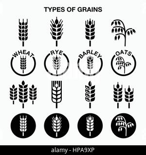 Types de grains, céréales icons - blé, seigle, orge, avoine Illustration de Vecteur