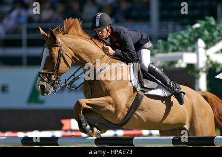 Le nord-américain, Spruce Meadows 2006, Pepsi s', Mark Armstrong (GBR) équitation Rex Banque D'Images