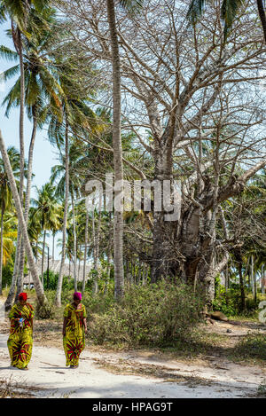 Les femmes à pied près du vieux baobab, village de Kizimkazi Dimbani, Zanzibar, Tanzanie Banque D'Images