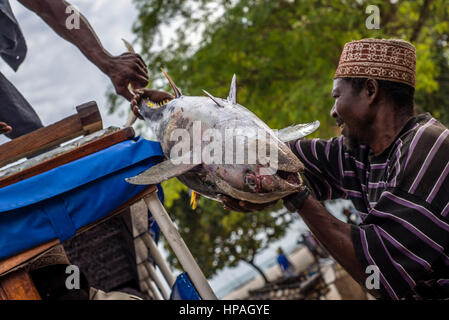 Charge des travailleurs un thon à une voiture du marché aux poissons dans le village de Nungwi, Zanzibar. La pêche est l'activité principale de la population locale sur l'île. Ils prennent différents types de poissons, en particulier le thazard, le thon, le marlin, Ray. Il y a quelques endroits où les pêcheurs pour la plupart des prises d'anchois, localement appelés Dagaa. En plus d'utiliser le poisson pour restaurants et hôtels locaux il peut être également vendu à la terre ferme. Banque D'Images