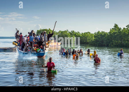 Les gens à pied dans l'eau avec des seaux dans leur main pour acheter des anchois, localement appelés Dagaa, bateaux des pêcheurs du village à Mkokotoni, Zanzibar. Ces personnes travaillent en tant que messagers du poisson, ils prennent le poisson des bateaux et l'apporter aux clients qui ont ensuite préparer le poisson pour le séchage. Banque D'Images