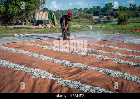 Un homme prépare les anchois, localement appelés Dagaa, pour le séchage à Mkokotoni village, Zanzibar. La population locale utilisation dagaa pour préparer la nourriture comme c'est beaucoup moins cher que d'autres poissons. Une partie de ce poisson est vendu à la partie continentale de la Tanzanie, Kenya et en Zambie. Banque D'Images