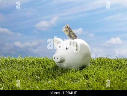 Sparschwein steht dans wiese, mit geldschein Banque D'Images