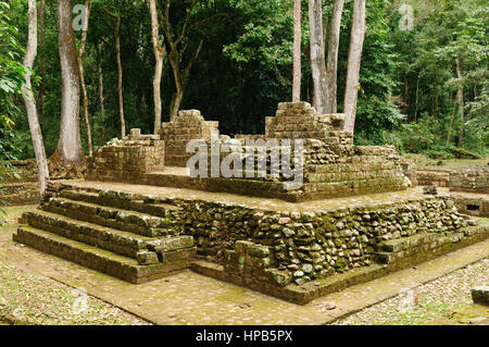 Le Honduras, cité maya de Copan en ruines. Banque D'Images
