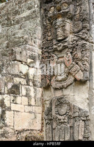 Le Honduras, cité maya de Copan en ruines. La photo présente le détail de la Stèle P sur le West Plaza Banque D'Images