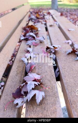 Banc de parc jonché de feuilles d'automne. Banque D'Images