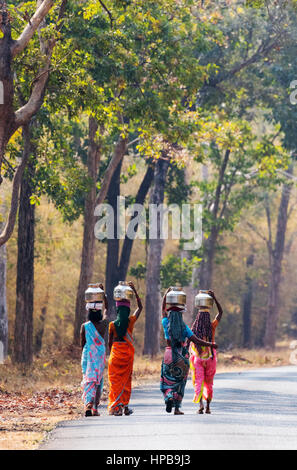 Les femmes indiennes transportant des calebasses sur la tête à marcher le long de la route, l'État du Maharashtra, Inde Asie Banque D'Images