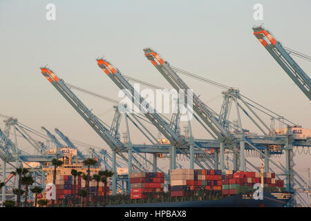 Grues d'expédition du déchargement d'un navire de Hyundai Banque D'Images