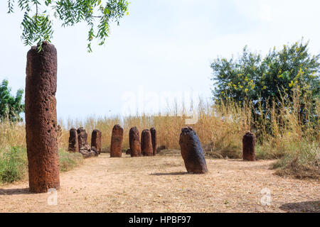 Wassu historique stone circle mégalithes près du fleuve Gambie Banque D'Images