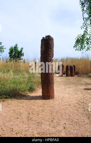 Wassu historique stone circle mégalithes près du fleuve Gambie Banque D'Images