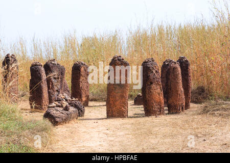 Wassu historique stone circle mégalithes près du fleuve Gambie Banque D'Images