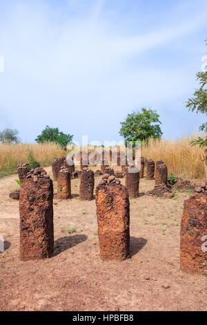 Wassu historique stone circle mégalithes près du fleuve Gambie Banque D'Images