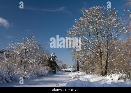 Canal de Basingstoke et congelé dans la neige,la flotte Hampshire. Banque D'Images