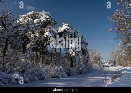 Canal de Basingstoke et congelé dans la neige,la flotte Hampshire. Banque D'Images