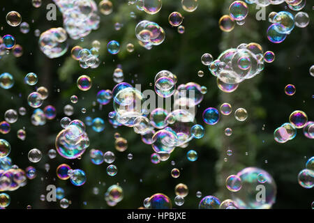 Circulation des bulles de savon coloré flottant dans l'ia Banque D'Images