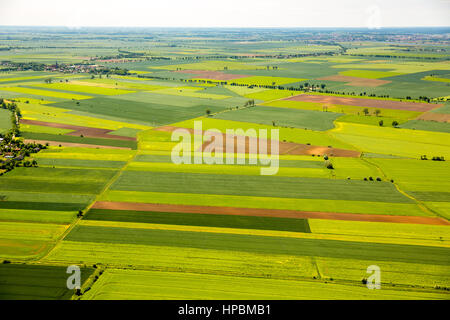 L'agriculture, des champs à l'est de Gdansk, Pręgowo Zulawskie, tendances, Pomorskie, Pologne Banque D'Images