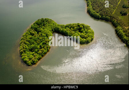 Paysage du lac, occidentale, la réflexion dans l'eau, l'île boisée, Leśnice, côte de la mer Baltique, Pomorskie, Pologne Banque D'Images